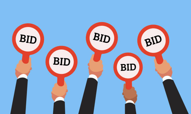 How to Buy & Bid on BidZid.app