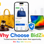 Why Choose BidZid?